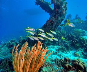 Turks And Caicos Covid 19 Update Southwest Airlines