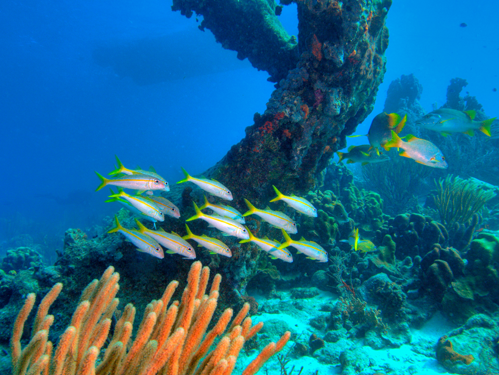 Islas Turcas y Caicos