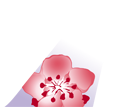 China Airlines tail image